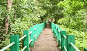 self drive cars hire, rentals in hubli, cheapest car rental in Hubli, car rental in hubli with driver, self drive cars in Hubli, Car rental in hubli for family, Car rental in hubli without driver, cheap car hire in hubli, car rentals at airport & railway station, book hourly car rental in hubli, cab hire hubli, taxi, cab booking hubli, car rental in hubballi, hubli car rental outstation, car rent per km in hubli, 8 seater car for rent in hubli, top car rental routes from Hubli, taxi service Hubli, car rental service Hubli,taxi service Hubli, car rental service Hubli,car rental in Hubli,best taxi service near me ,taxi service near me ,best taxi service in night,car rental in emergency ,car rental near me ,car rental in Hubli,Sathodi Falls